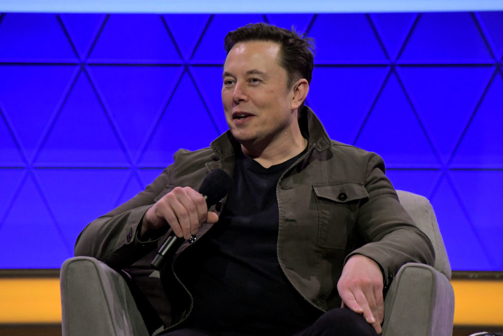 elon musk brain