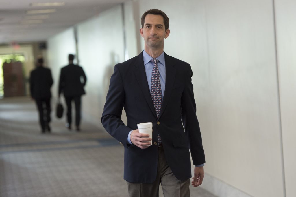 tom cotton