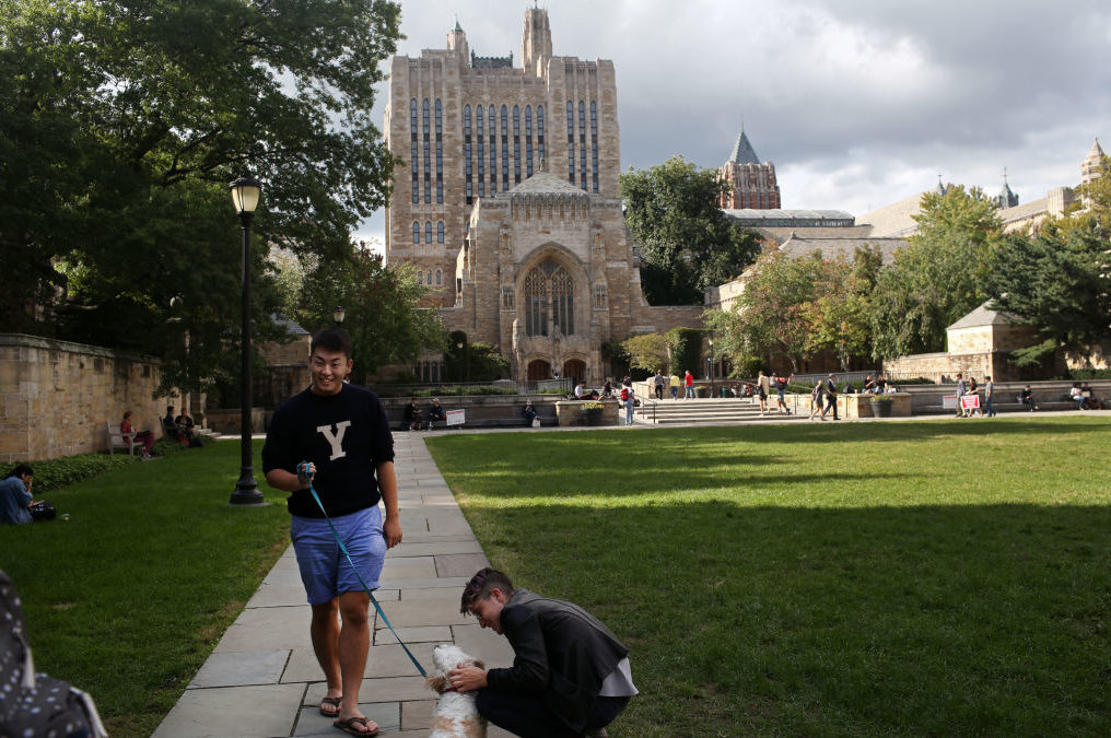 yale colleges