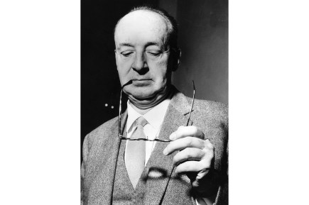 vladimir nabokov