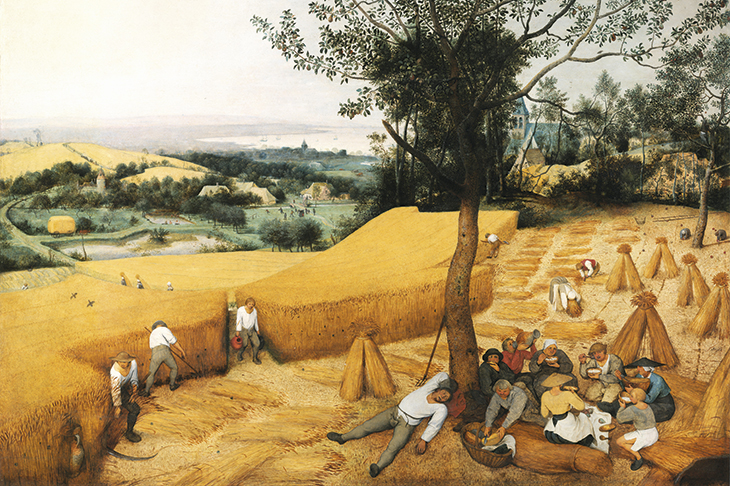 bruegel