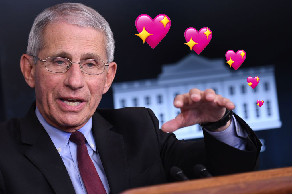 anthony fauci fetish