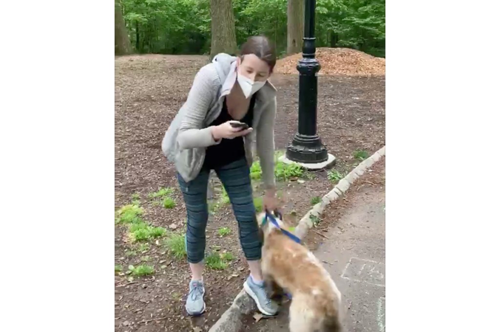 central park karen