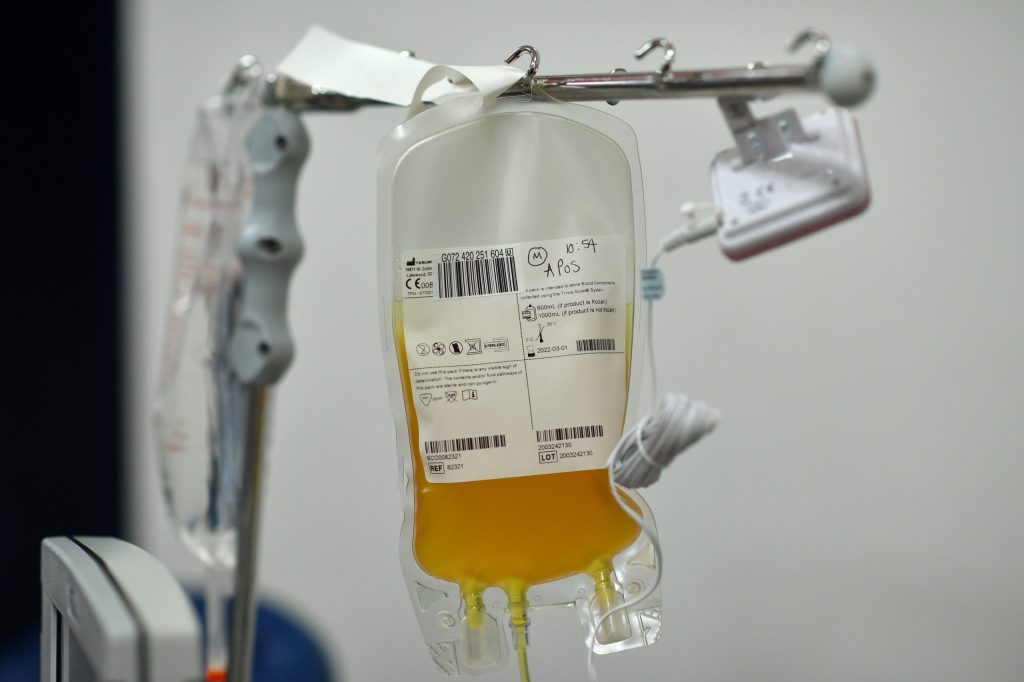 blood plasma