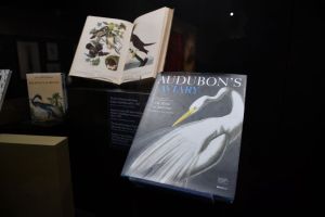 audubon