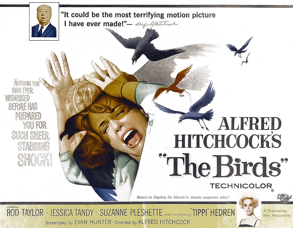 birds hammer