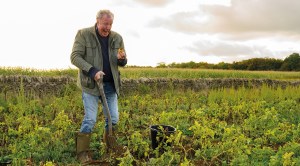 jeremy clarksons farm