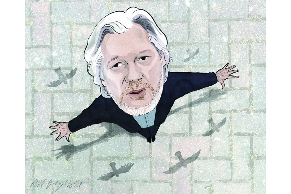 assange