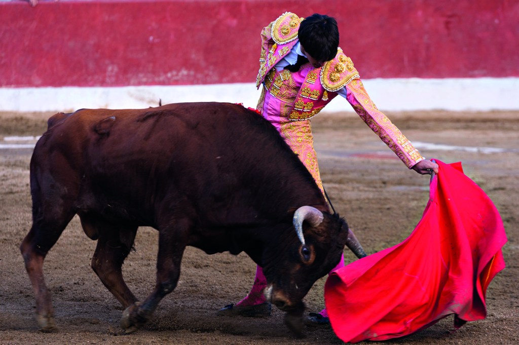 bullfighting