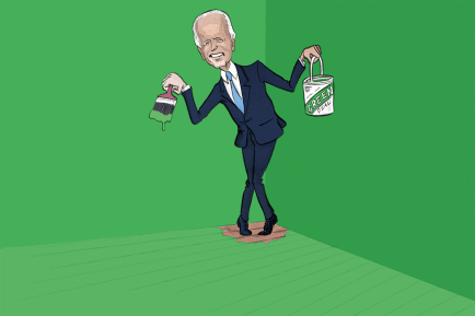 energy green biden