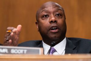 senator tim scott