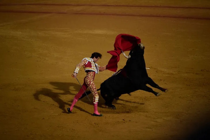 bullfighting